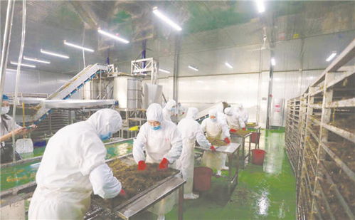 2021年高質量發(fā)展盤點丨威海建設世界一流海洋綜合試驗場