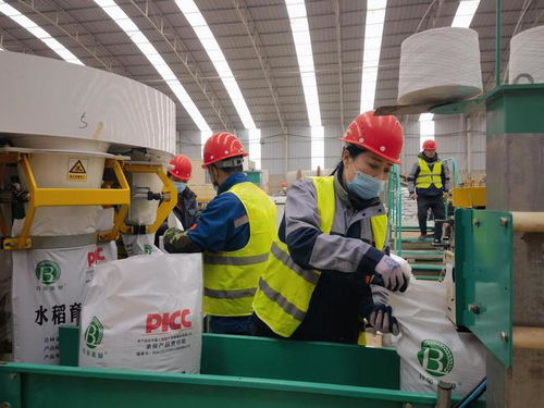 科技賦能春耕生產 吉林鎮(zhèn)賚 155 萬畝水稻育苗全面啟動