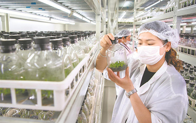 精育&ldquo;增收苗&rdquo;