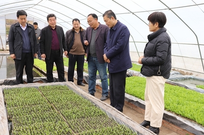 西北農林科技大學園藝學院