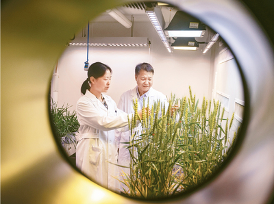 陜西如何走出適合本地區(qū)實際的高質量發(fā)展之路