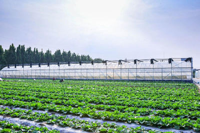 濰坊市科學技術協(xié)會