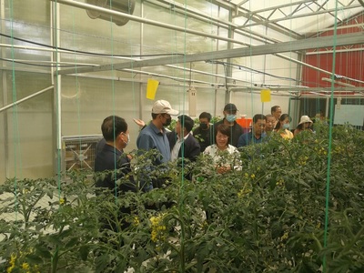 生物工程學院建成&ldquo;喻景權院士輕簡化無土栽培技術示范基地&rdquo;并參加全市戈壁農業觀摩活動