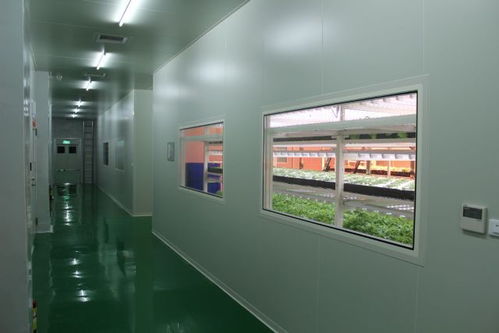 只要這樣做,在鋼筋混凝土的城市里也能再現(xiàn) 田園風(fēng)光