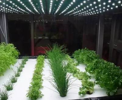 植物工廠 設(shè)施農(nóng)業(yè)的最高級階段與農(nóng)業(yè)科研試驗(yàn)發(fā)展