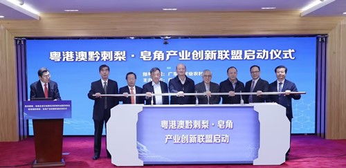 粵港澳黔刺梨與皂角產(chǎn)業(yè)創(chuàng)新聯(lián)盟在廣州啟動(dòng)，推動(dòng)農(nóng)業(yè)科研與試驗(yàn)發(fā)展