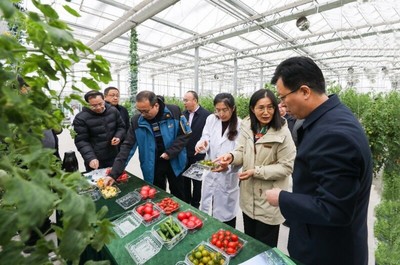 省農(nóng)業(yè)農(nóng)村廳副廳長曹麗虹一行赴我院溧水基地調(diào)研設(shè)施農(nóng)業(yè)與智慧農(nóng)業(yè)建設(shè)